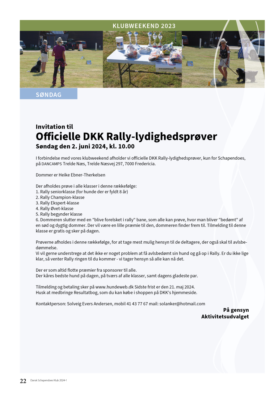 Rally invitation