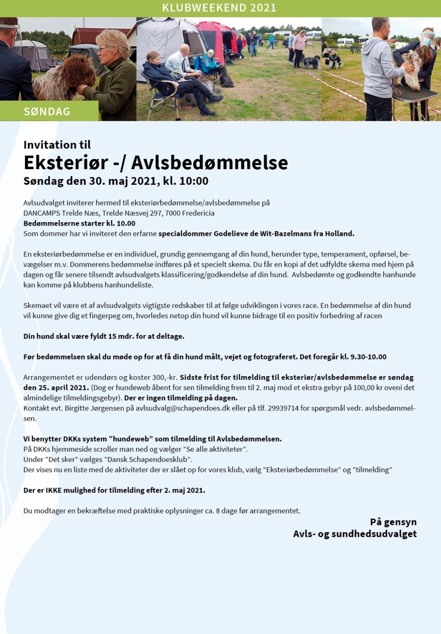 Schapendoes avlsbedømmelse 2021