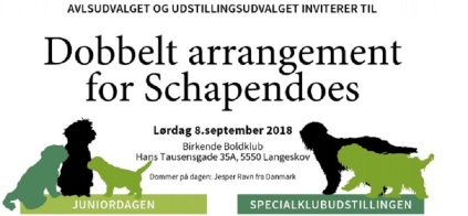 Juniordag og specialklubudstilling