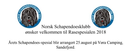 Norsk Schapendoes klub