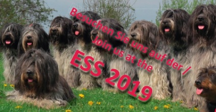 ESS 2019