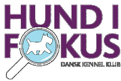 Hund i focus