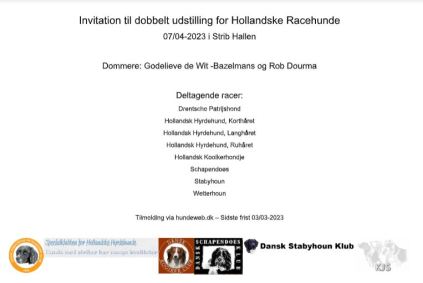 Udstilling Hollandske Racehunde